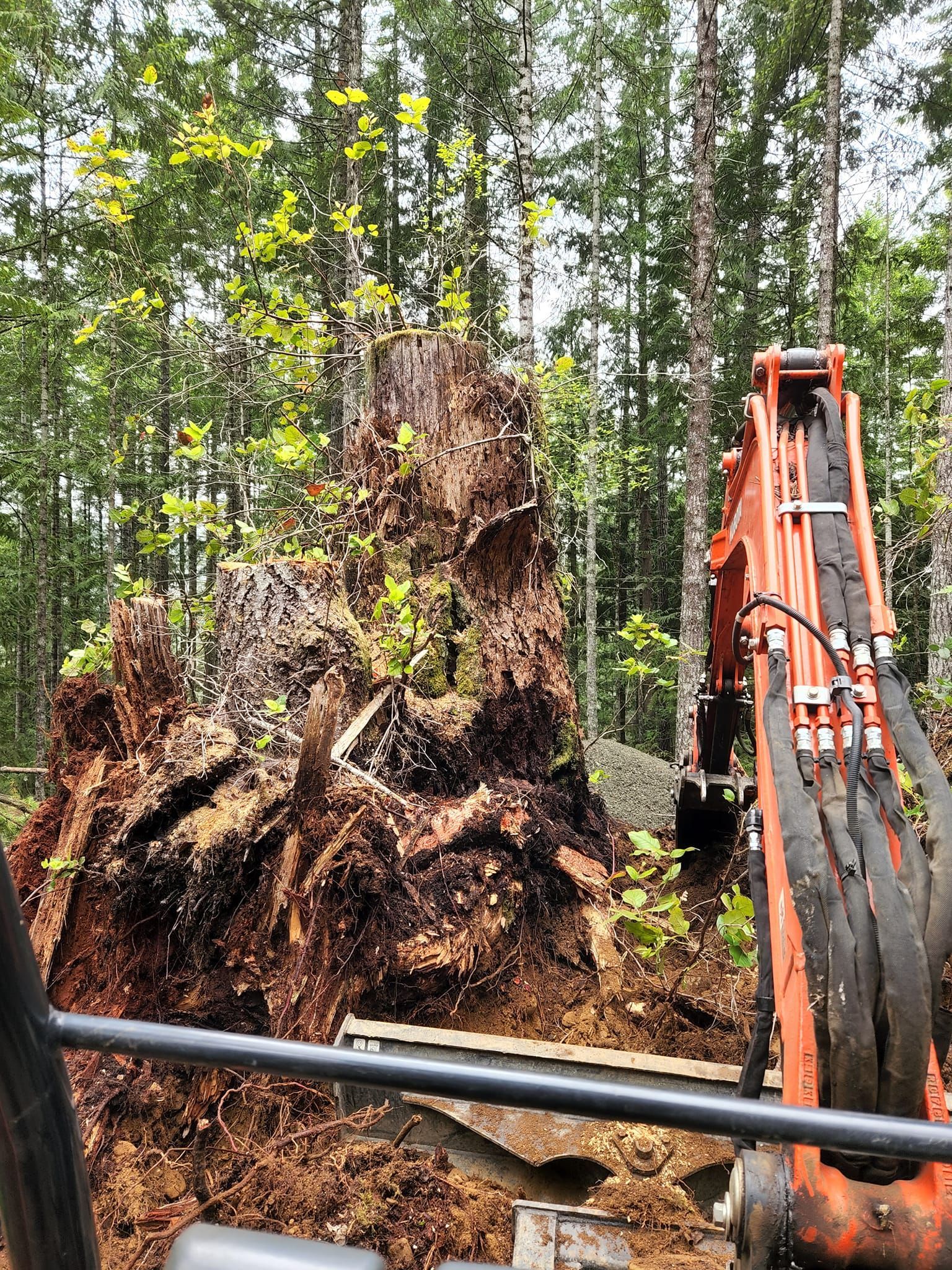 Excavation Contractor in Port Orchard Serving Kitsap County, Mason County, and Gig Harbor
