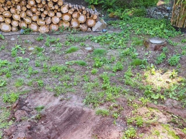 Excavation Contractor in Port Orchard Serving Kitsap County, Mason County, and Gig Harbor
