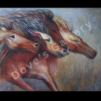 Four horses running; shades of brown and tan, side-by-side, motion blur, heads forward.