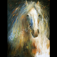 Close-up of a white and brown horse with a long, flowing mane.