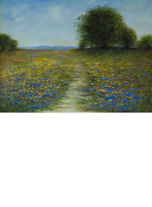 Field of wildflowers with a path leading to trees under a blue sky.