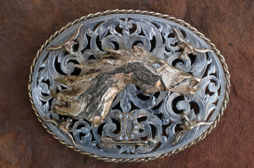 Silver and gold oval belt buckle with horse head design, set on a brown background.