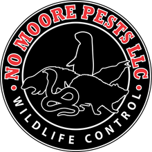 No Moore Pests Business Logo