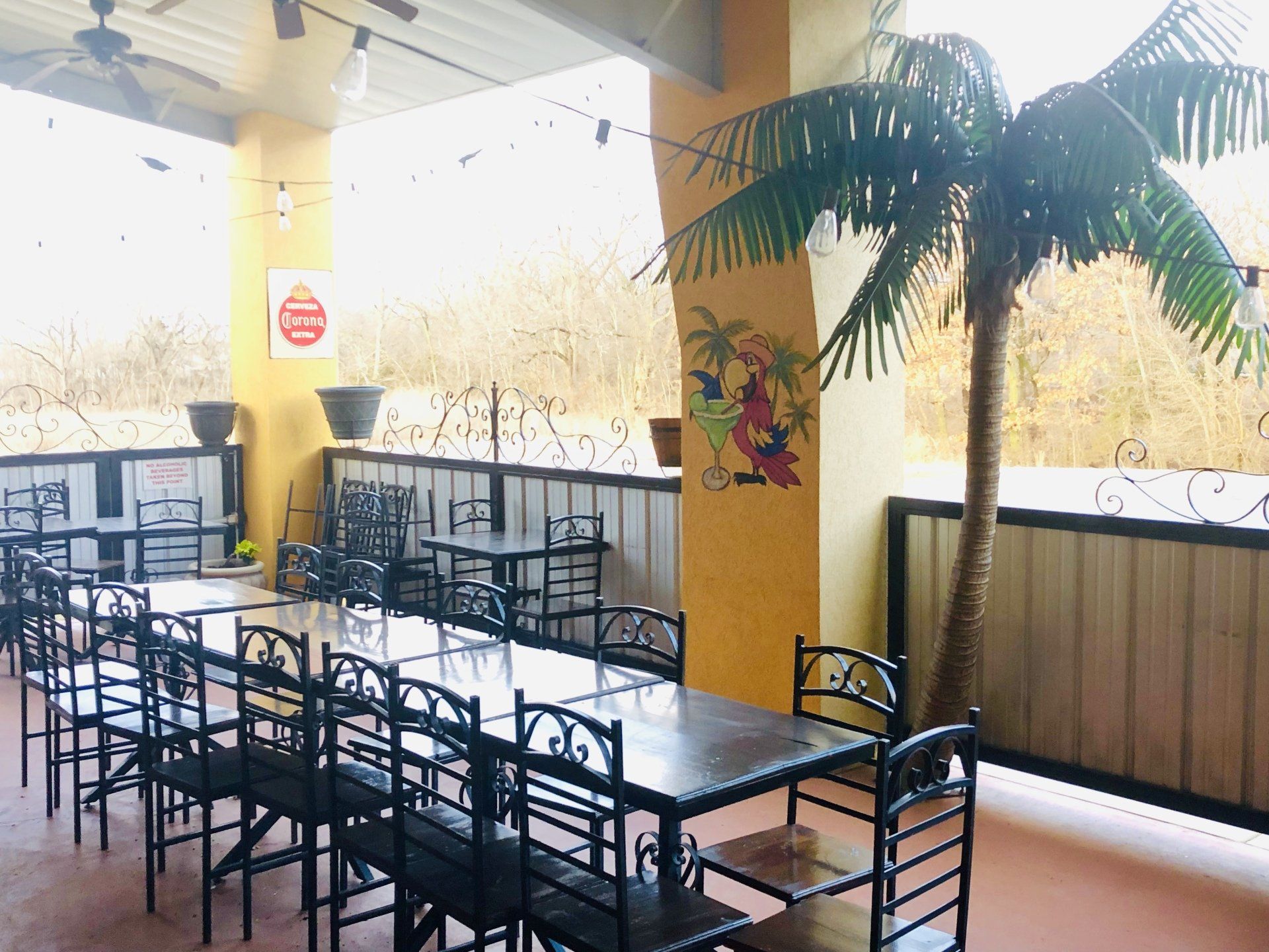 A restaurant with tables and chairs and a palm tree in the background.
