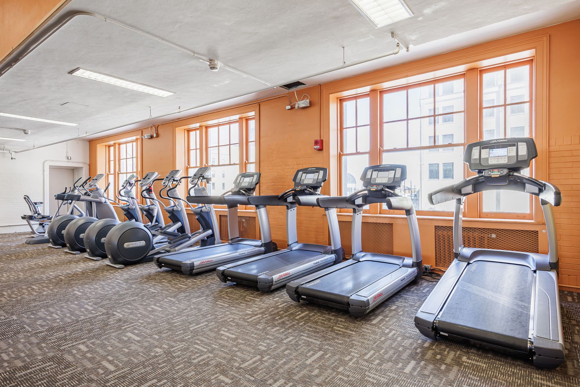 Treadmills and ellipticals