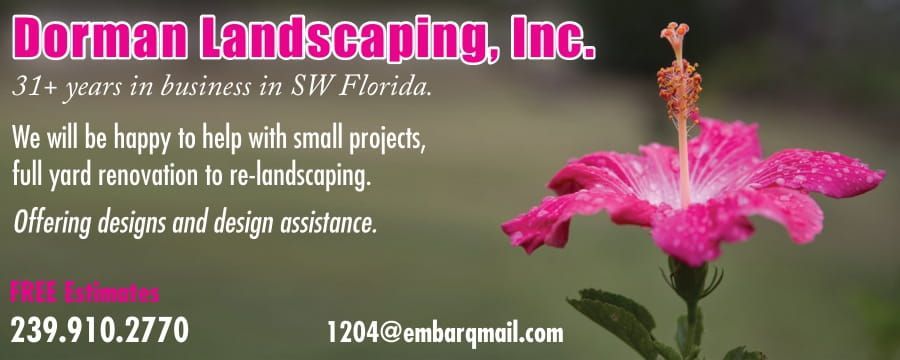 Landscaping business card with pink flower, phone number, and email.