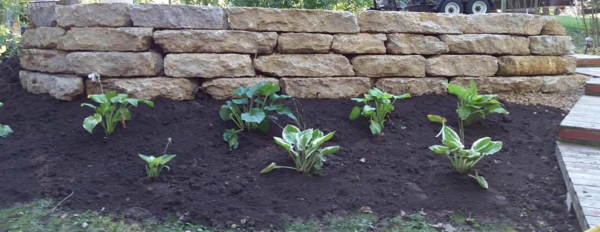 A stone wall with plants growing in front of it.
