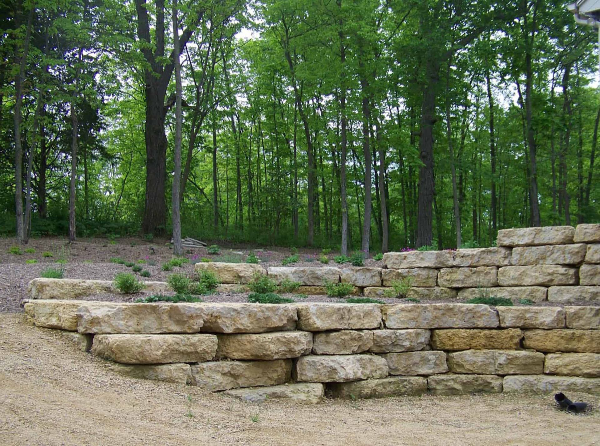 A large stone wall in the middle of a forest.