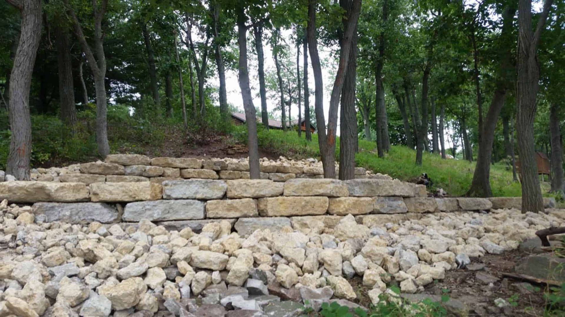 A pile of rocks is sitting in the middle of a forest.
