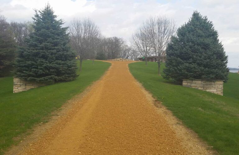 A dirt road going through a grassy field with trees on both sides.
