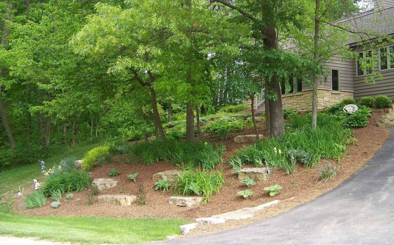A driveway leading to a house surrounded by trees and bushes.
