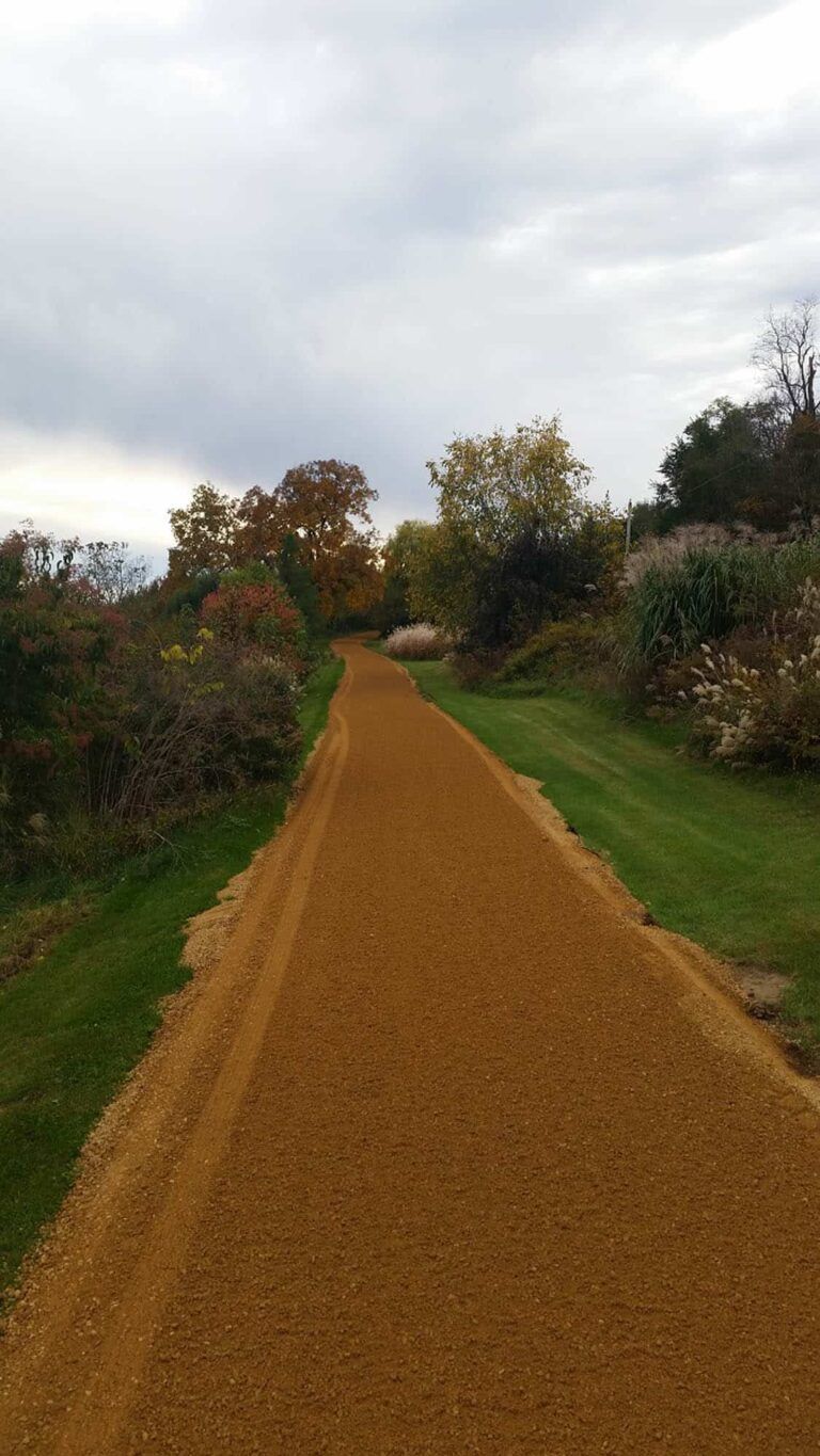 A dirt road going through a grassy area with trees on both sides.