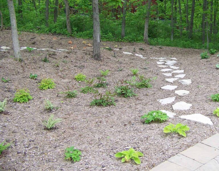 A garden with a path going through it and trees in the background