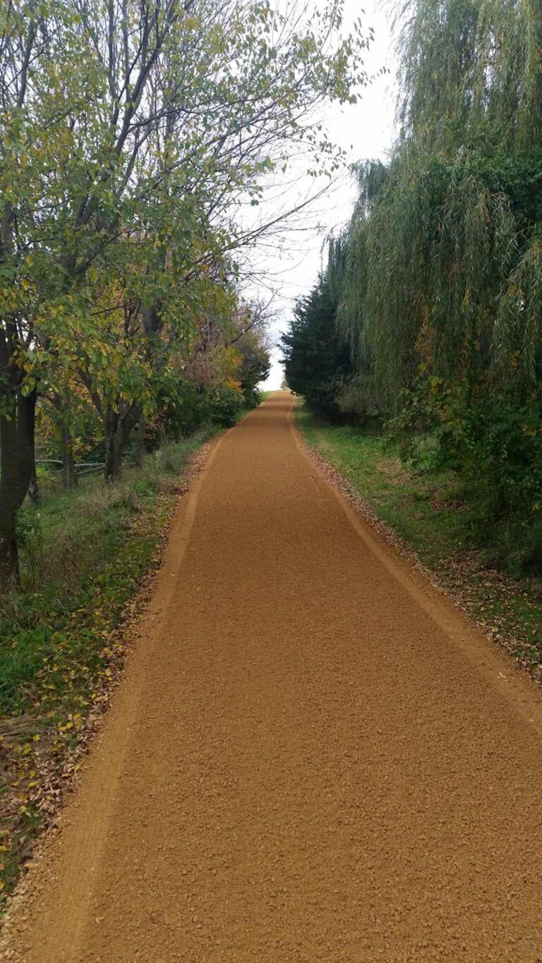 A dirt road going through a forest with trees on both sides.