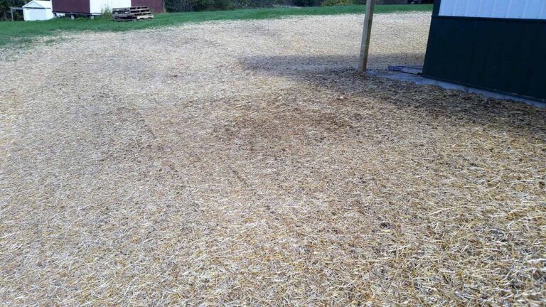 A gravel driveway with a black building in the background