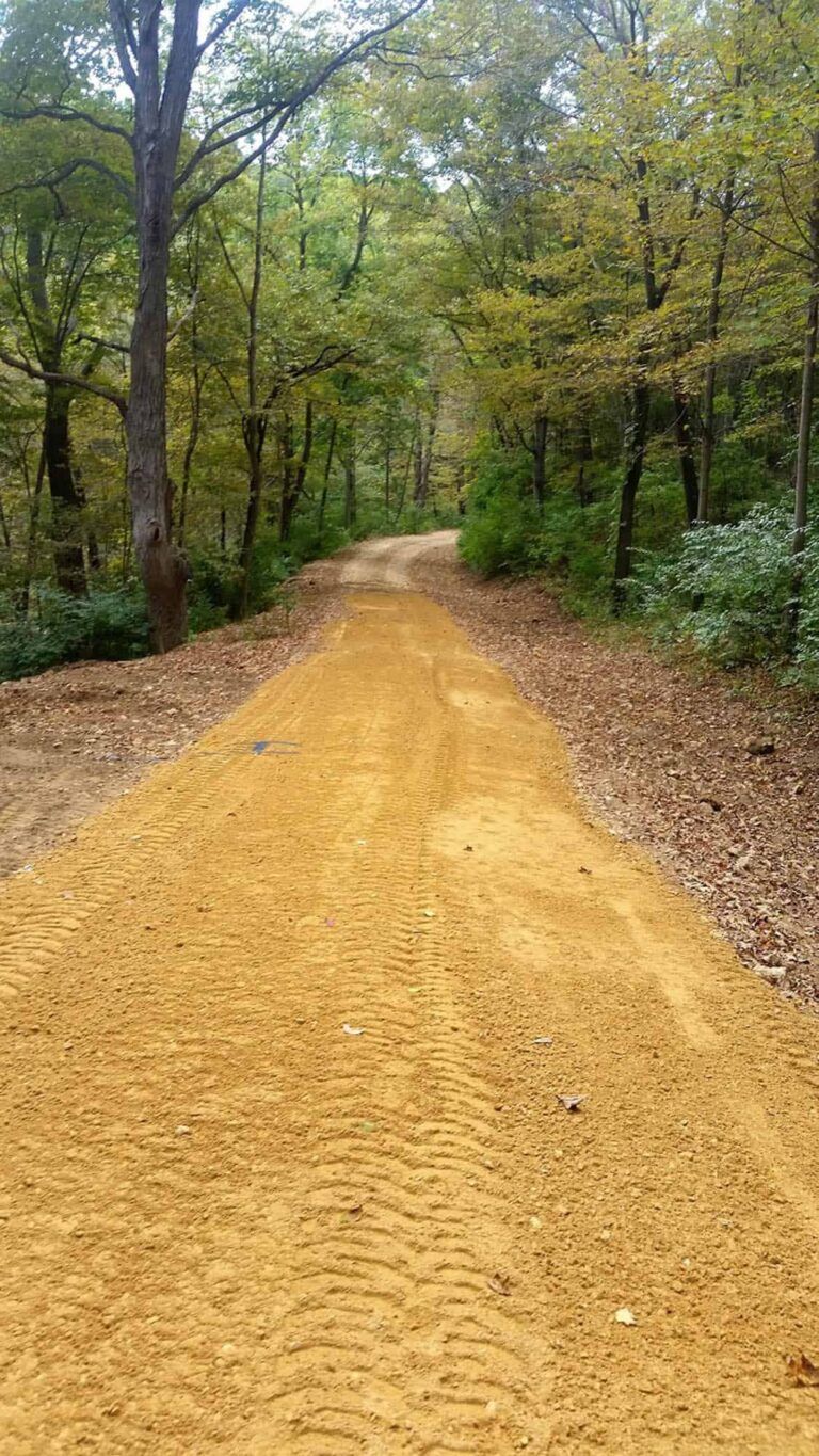 A dirt road going through a forest with trees on both sides.