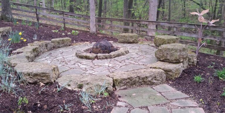 A fire pit surrounded by rocks in the middle of a forest.