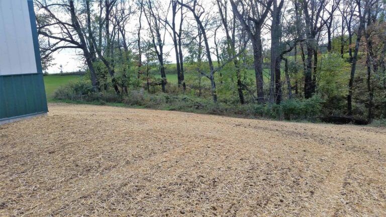 A dirt road leading to a building with trees in the background.
