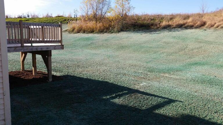 There is a deck in the middle of a grassy field.