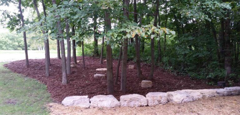 A lush green forest with trees and rocks in the foreground.