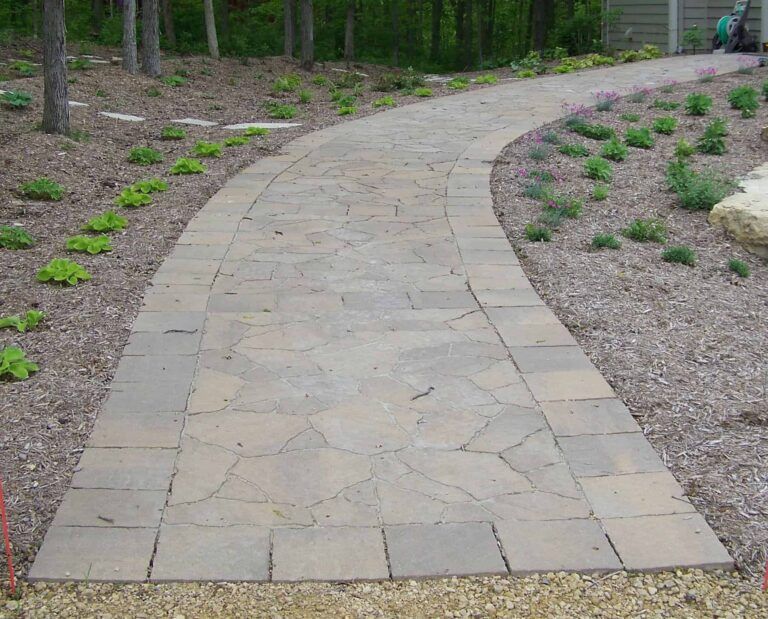 A stone walkway going through a lush green forest