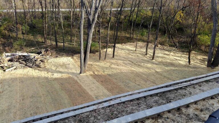 A train track going through a forest with trees in the background.