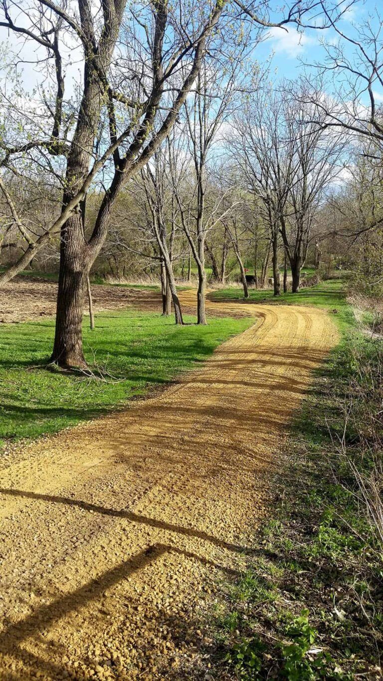 A dirt road going through a park with trees on both sides.