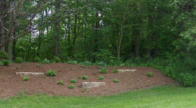 A lush green field with trees in the background and a pile of mulch in the foreground.