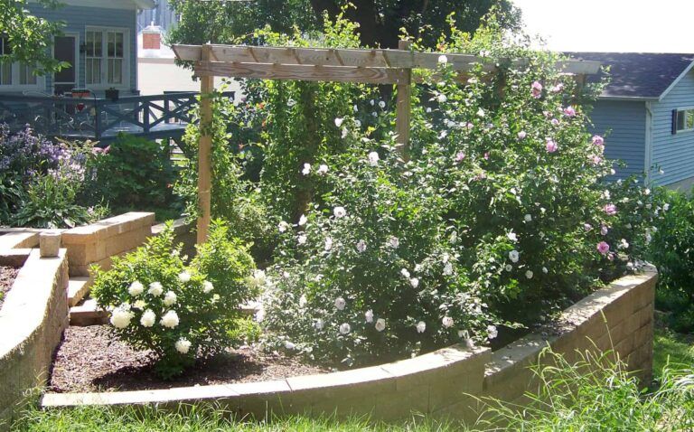 A garden with flowers and a pergola in front of a house