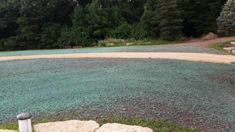 A dirt road going through a grassy field with trees in the background.