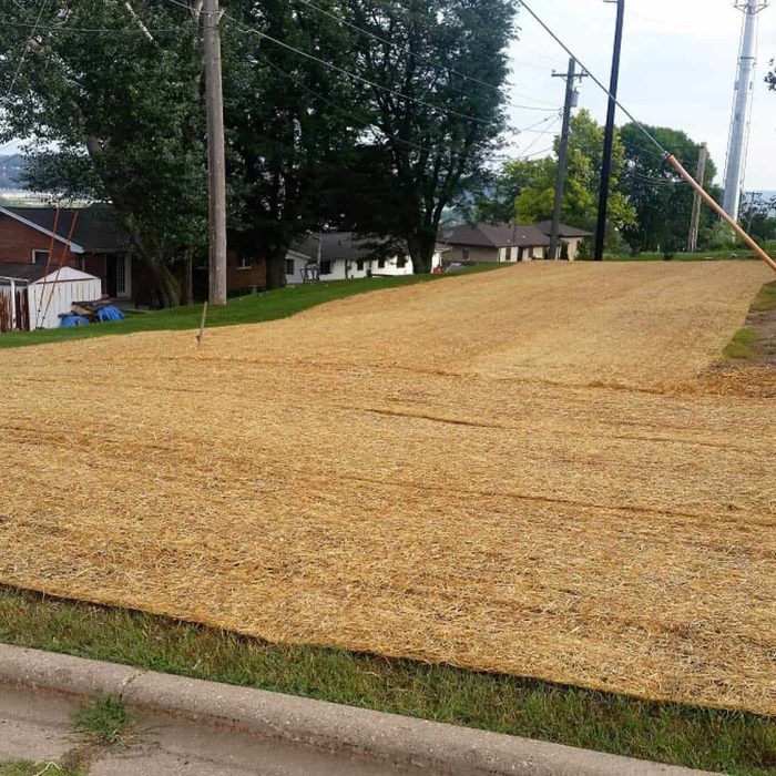 Seeding and Sodding Elizabeth, IL