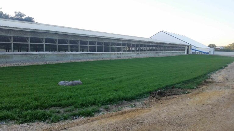A large white building with a lot of windows is surrounded by a lush green field.