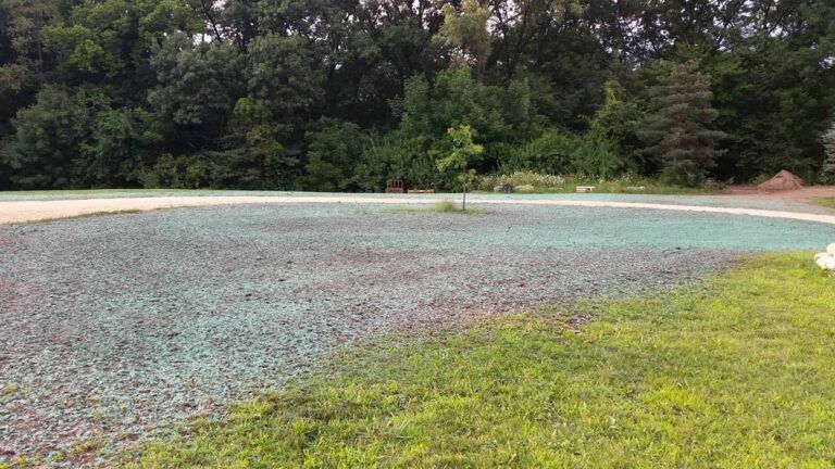 A lush green field with trees in the background and a small tree in the middle.