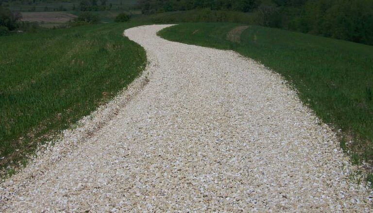 A gravel road going through a grassy field.