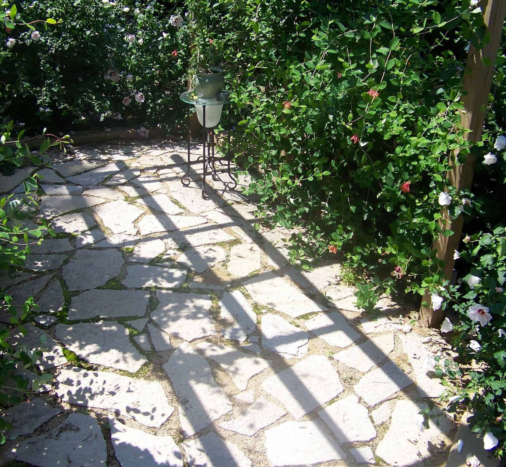 A stone walkway is surrounded by trees and bushes