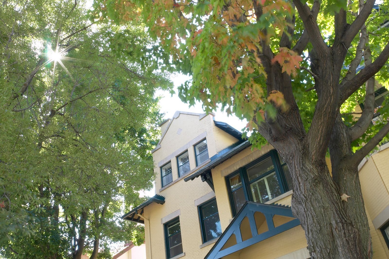 A house with a tree in front of it and the sun shining through the trees