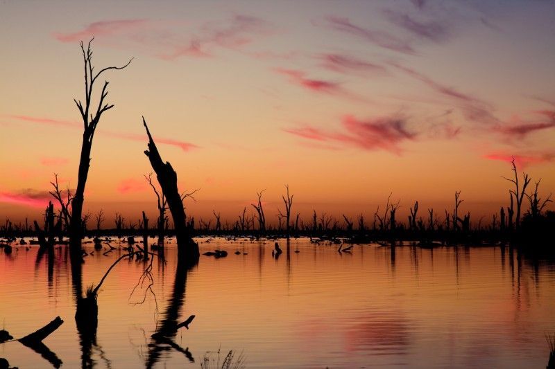 A Sunset Over a Lake With Trees in the Water — Voyager Trailers in Yarrawonga, NT