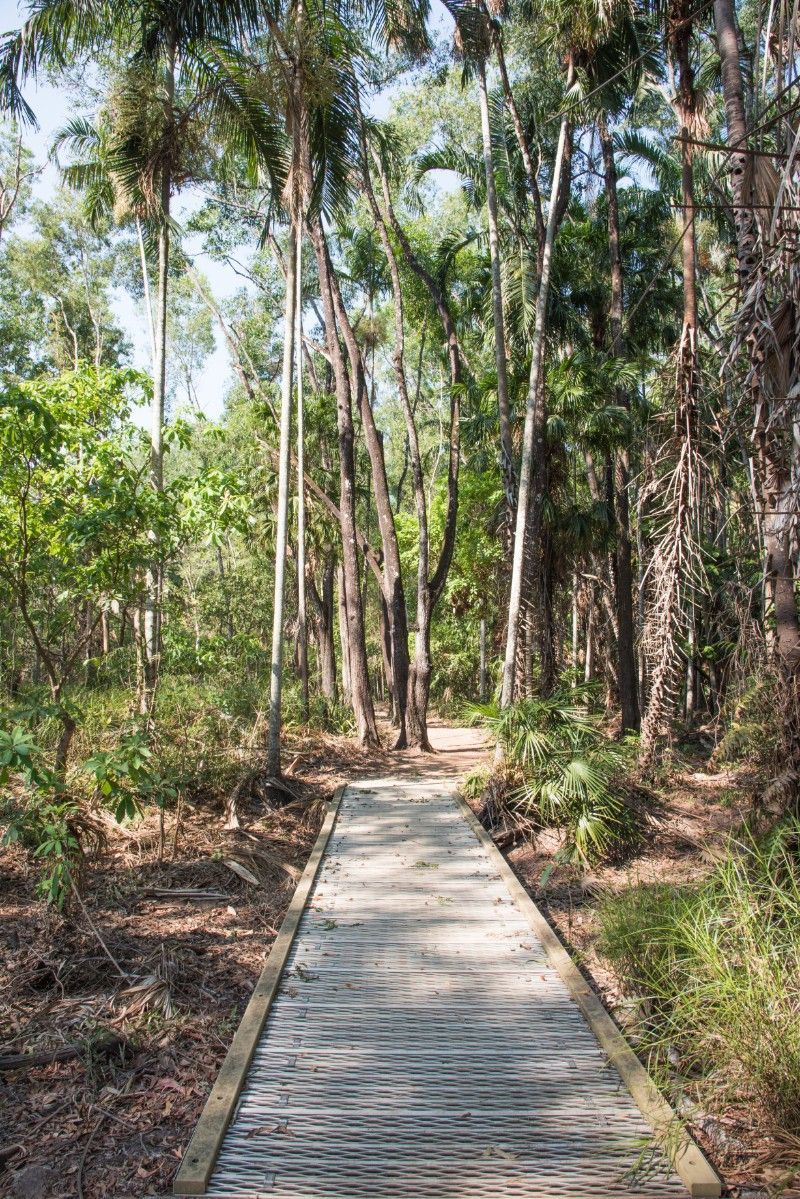 Scenic Mountain Waterfall View in Katherine — Voyager Trailers in Howard Springs, NT