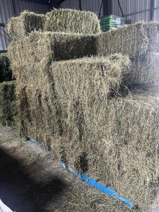 A Bunch Of Hay Bales Stacked On Top Of Each Other In A Warehouse — SF Produce In Paget, QLD