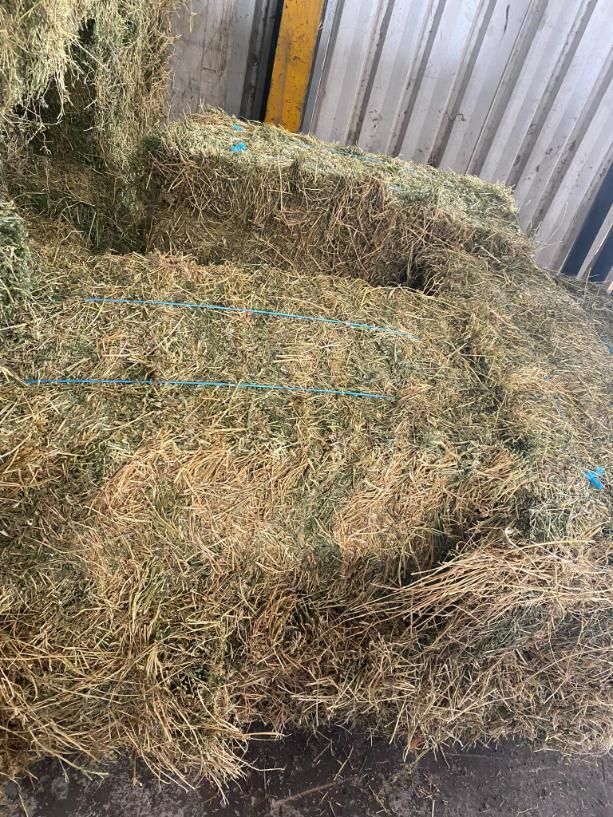 A Pile Of Hay Is Sitting In Front Of A Fence — SF Produce In Paget, QLD