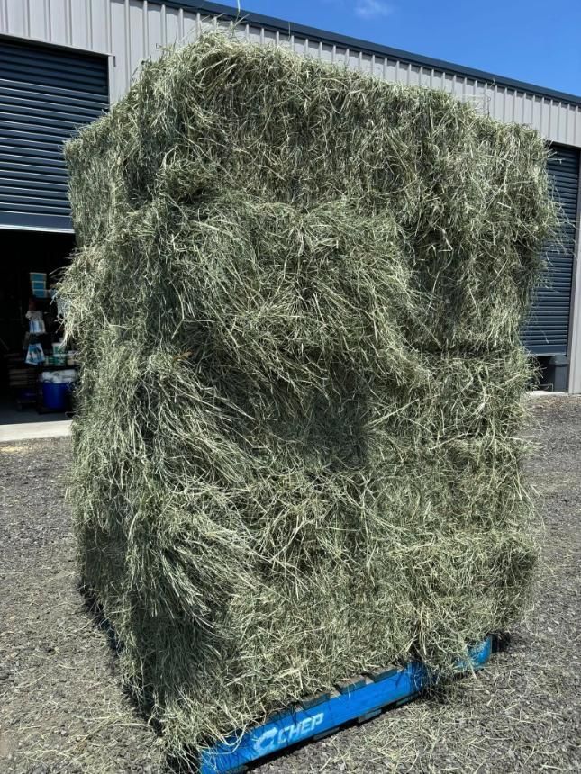 A Large Bale Of Hay Is Sitting On Top Of A Blue Pallet — SF Produce In Paget, QLD