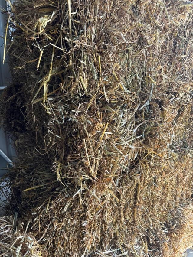 A Pile Of Hay Is Sitting On Top Of A Fence — SF Produce In Paget, QLD