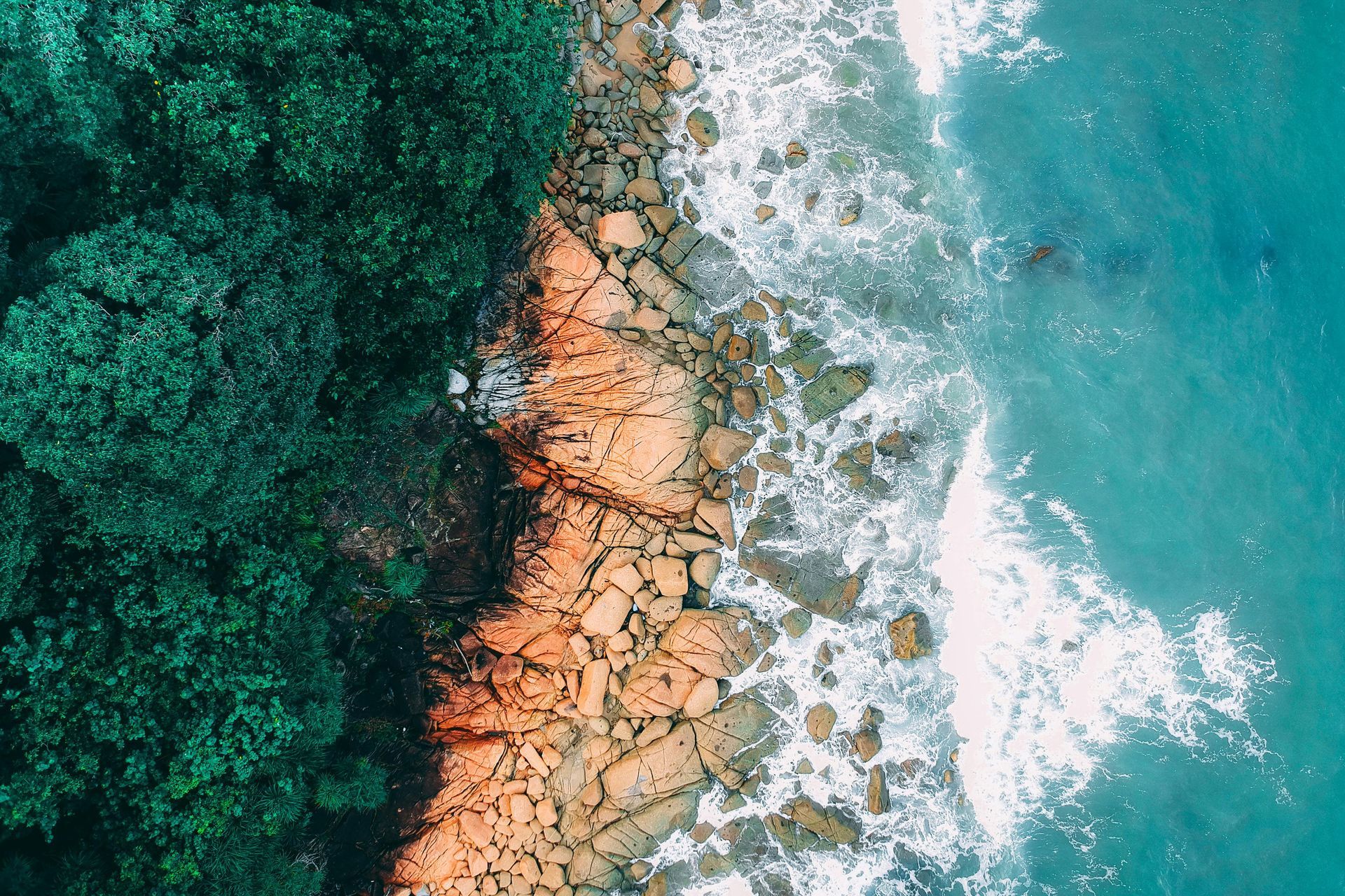 Nature