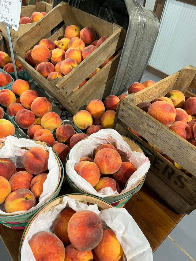 Triple J Farm photo 24