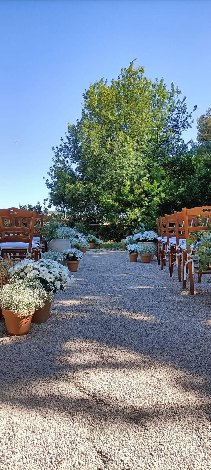 allestimento con margherite