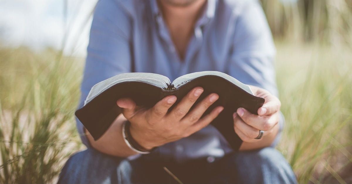 Person holding an open book, reading. Sitting outdoors in tall grass.