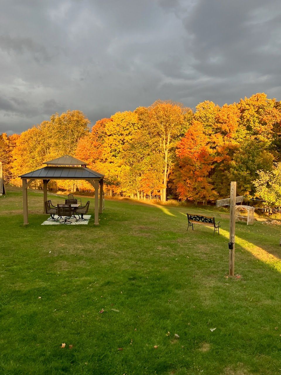 There is a gazebo in the middle of a field with trees in the background.