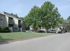 Apartment buildings with balconies next to a large tree on a sunny day.