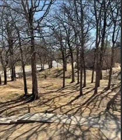 Trees casting long shadows on a sunny, brown field; a road is visible in the background.
