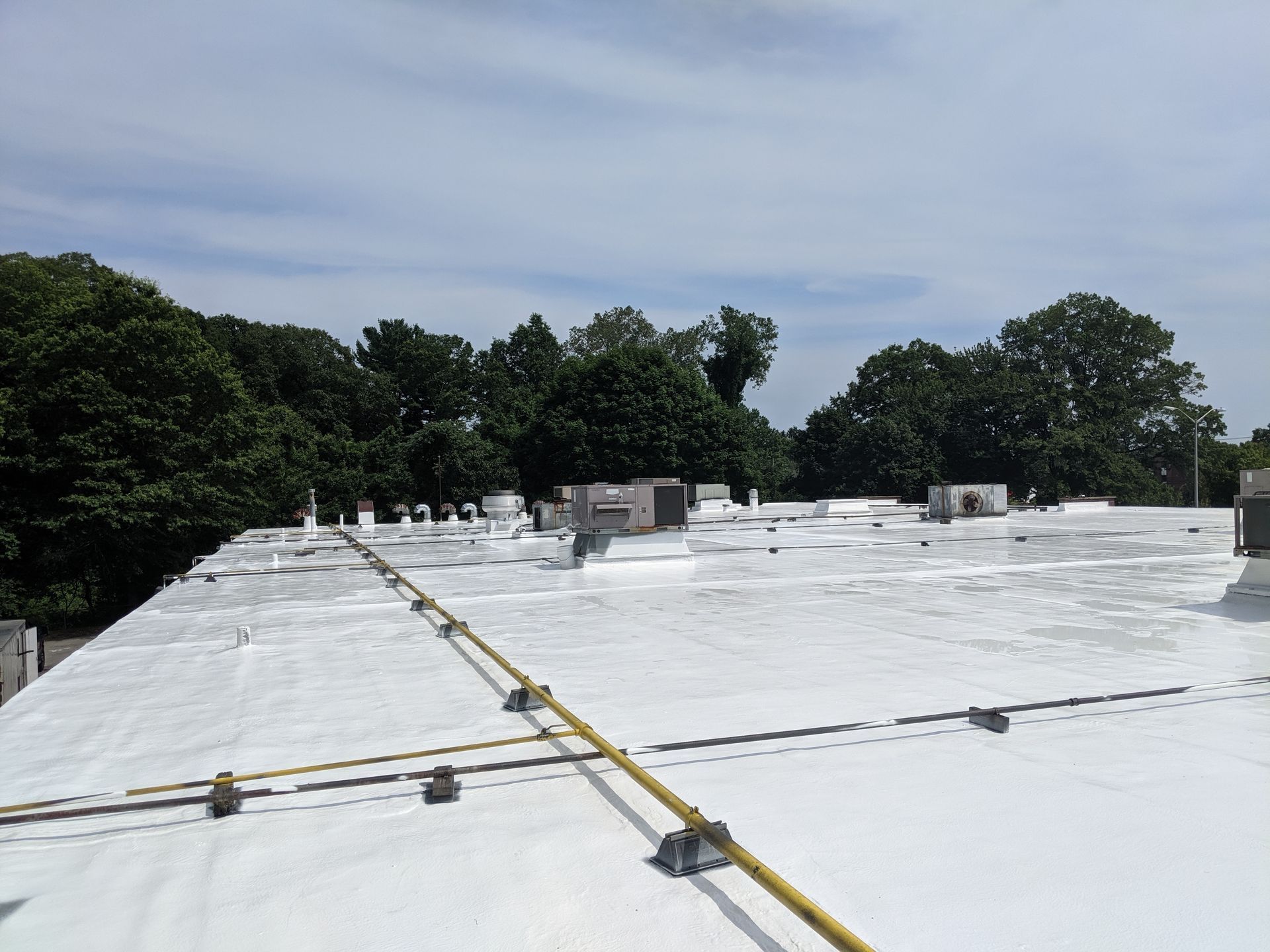 A large white roof with trees in the background